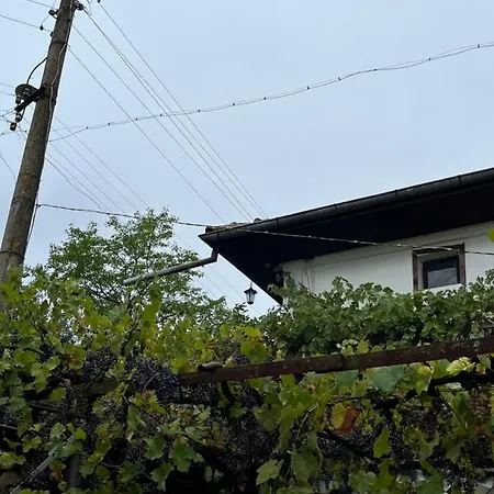 게스트하우스 Pri Shopa Khunevtsi